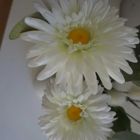 Apartamentosmalaga 아파트