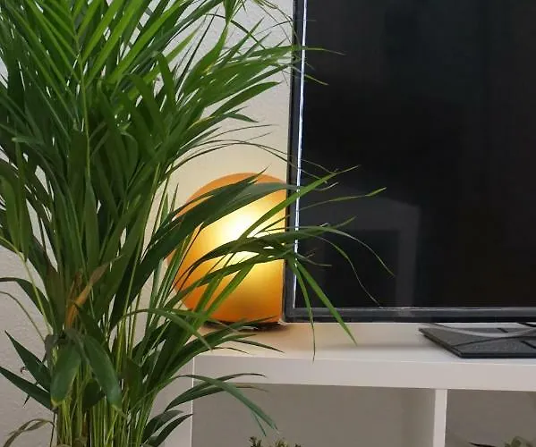Apartamentosmalaga Apartment